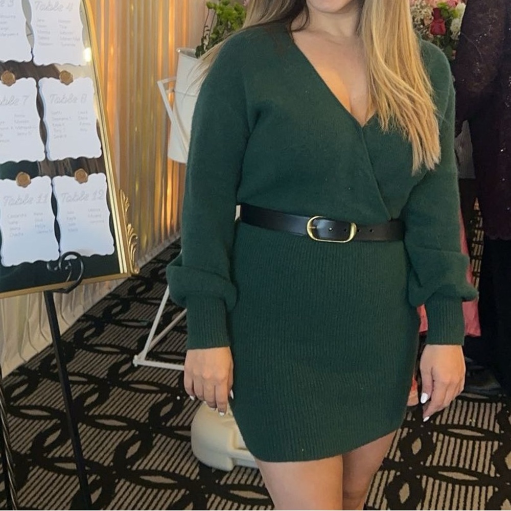 Aritzia Green Sweater Dress